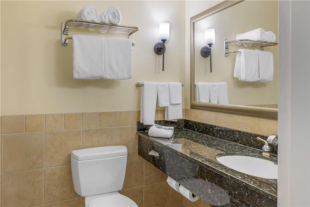 Best Western Plus Vineyard Inn & Suites - photo 37
