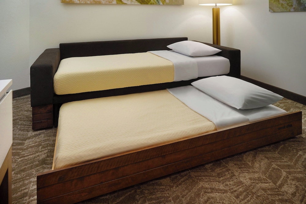 SpringHill Suites by Marriott Ellijay - photo 5