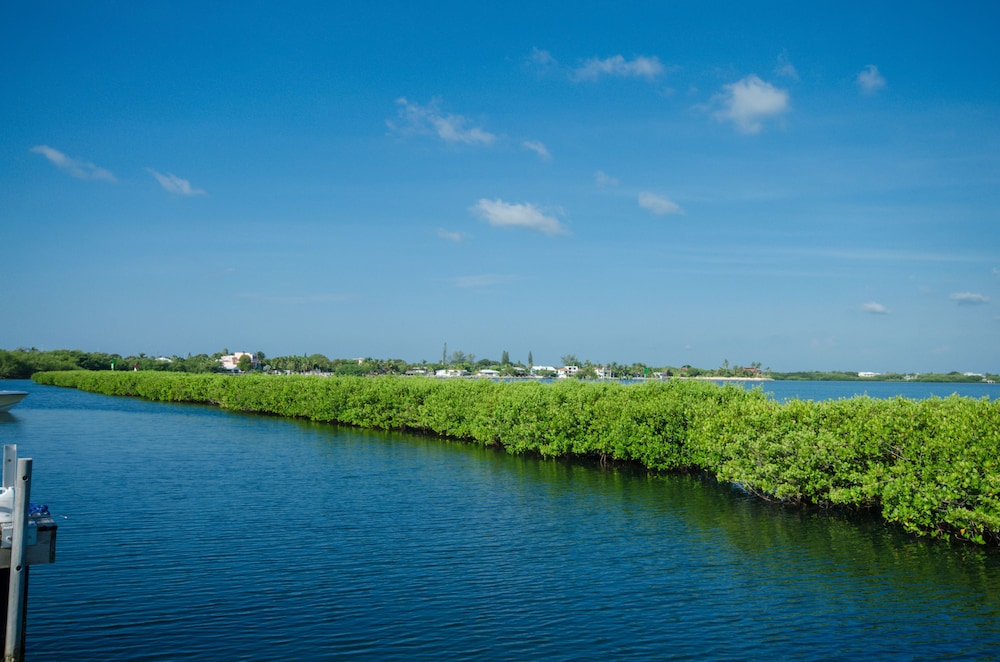 Indigo Reef Resort Villas & Marina by KeysCaribbean - photo 328
