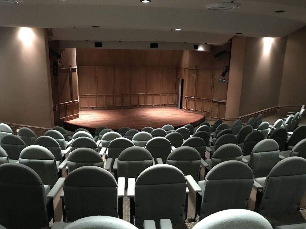 Theater show
