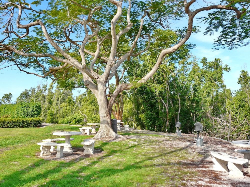 South Seas Tower 3 1409 - photo 10