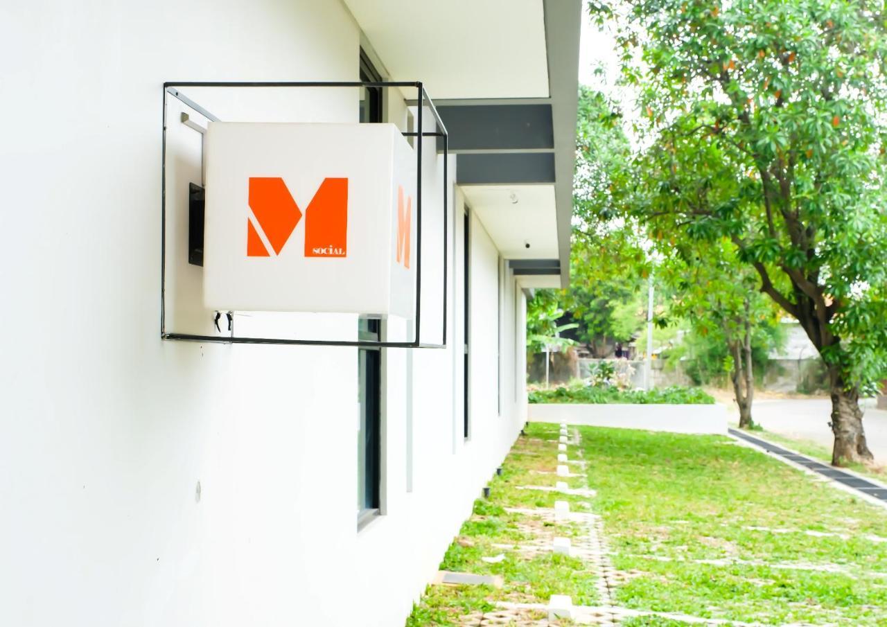 M Social — Curug — photo 4