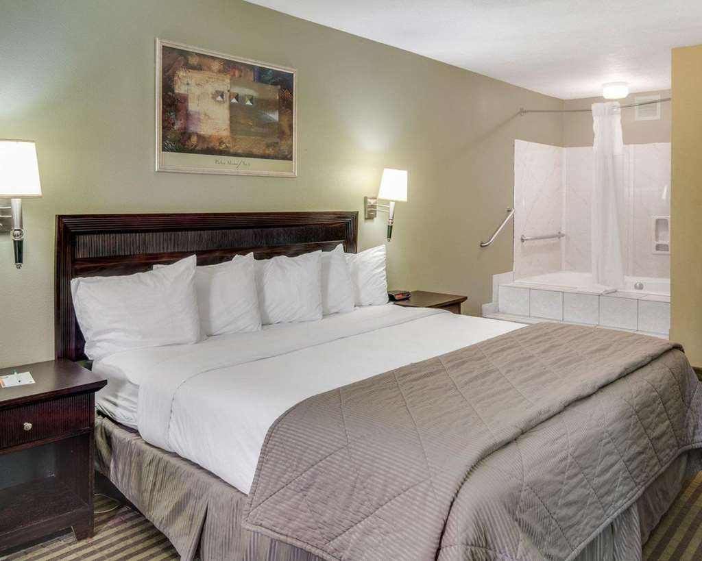 Quality Inn Mt. Pleasant - photo 11