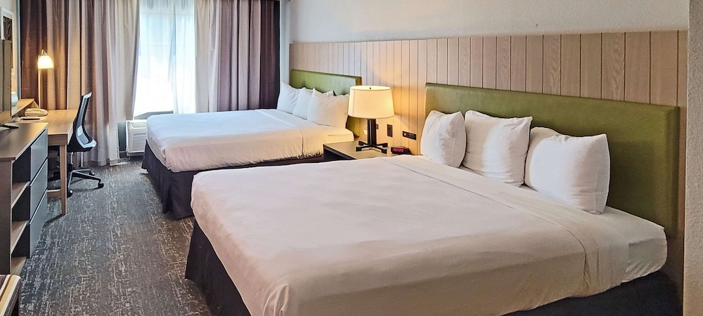 Country Inn & Suites by Radisson Canton GA - photo 8