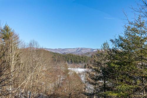 Lazy Bear Inn - photo 22