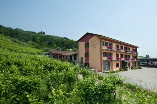 Hotel Munin — Canale — photo 3