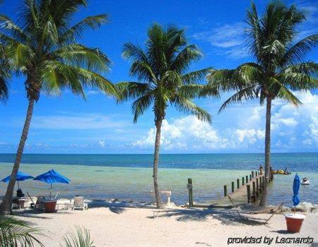 La Te Da by the Sea - photo 5