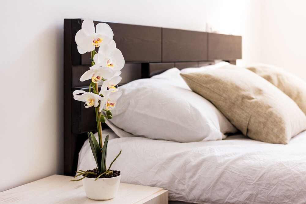 Kerry Lee Self Catering - carbon neutral hotel in Tralee