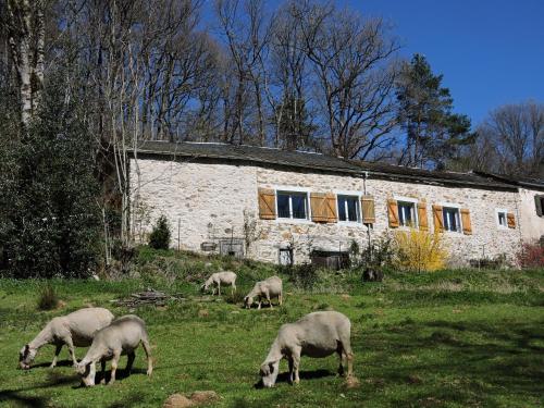 Gîte La Fenial — hotel in Montredon-Labessonnie