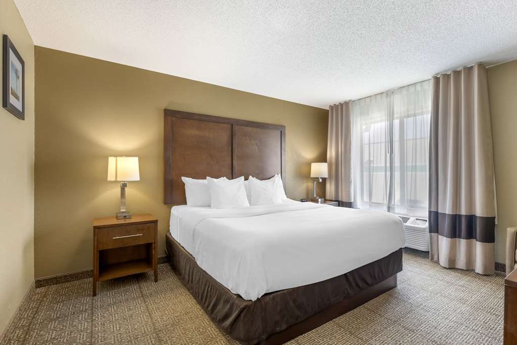 Comfort Inn Lexington - photo 19