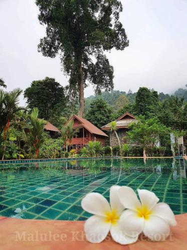 Malulee Khaosok Resort in Surat Thani, Thailand