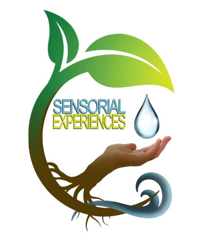 B And B Sensorial Experience 19350352 — Villamassargia