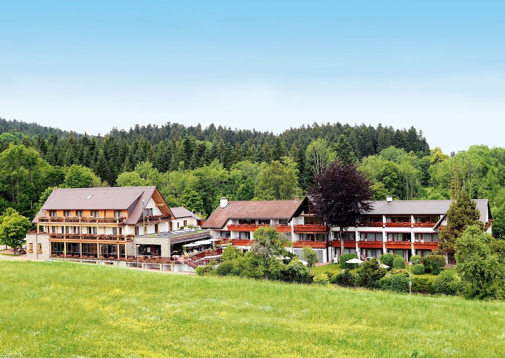 Hotel Grüner Wald — Freudenstadt — photo 2