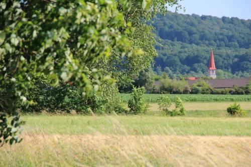 Rotes Ross Marktbergel — Marktbergel — photo 4
