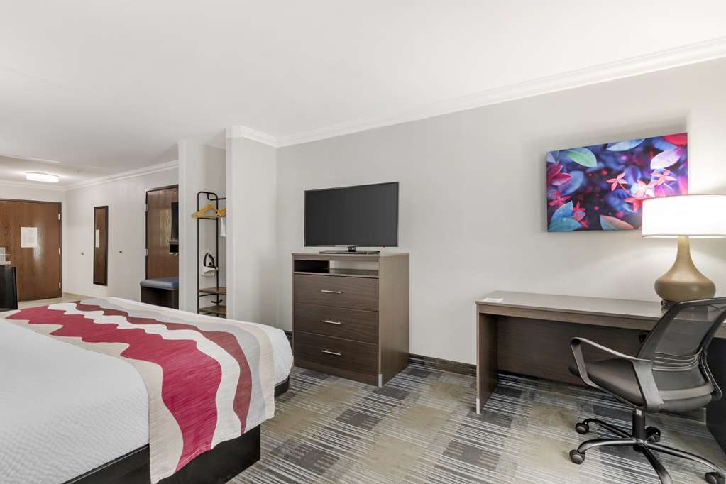 Best Western Medical Center North Inn & Suites Near Six Flags - photo 28
