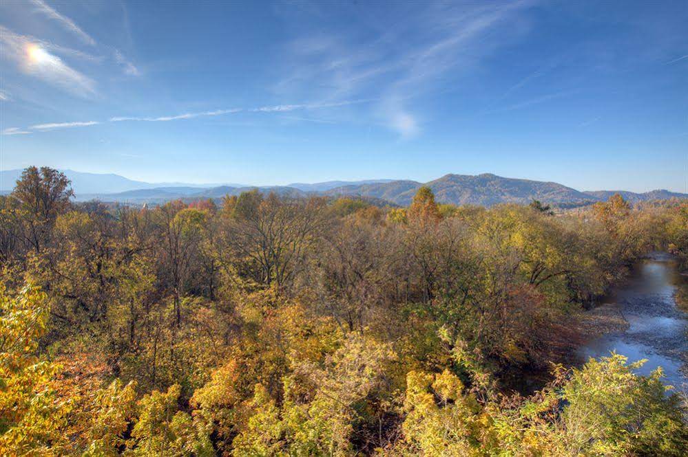 Music Road Inn - photo 14