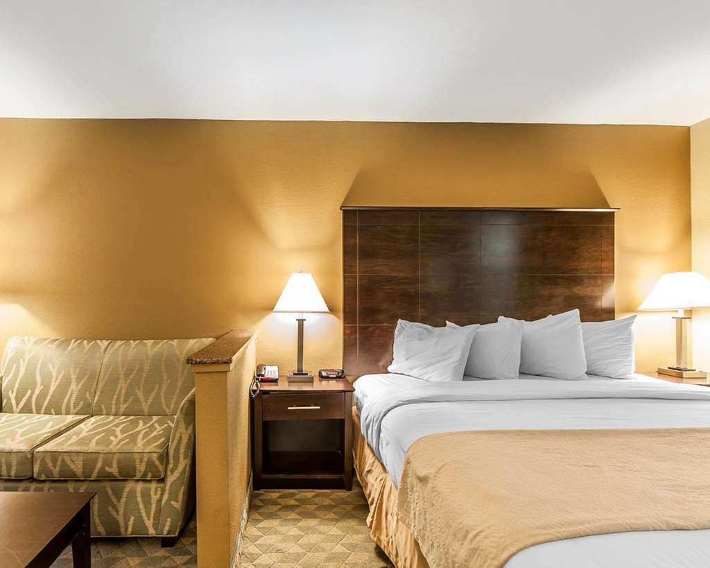 Quality Inn & Suites Bremen - photo 18