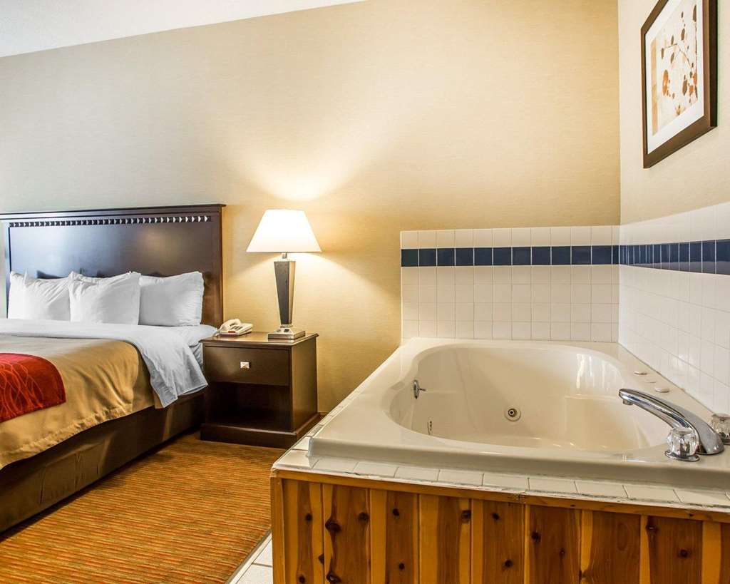 Quality Inn Greenville North - photo 18