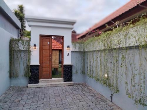 3 Orchid in Denpasar, Indonesia