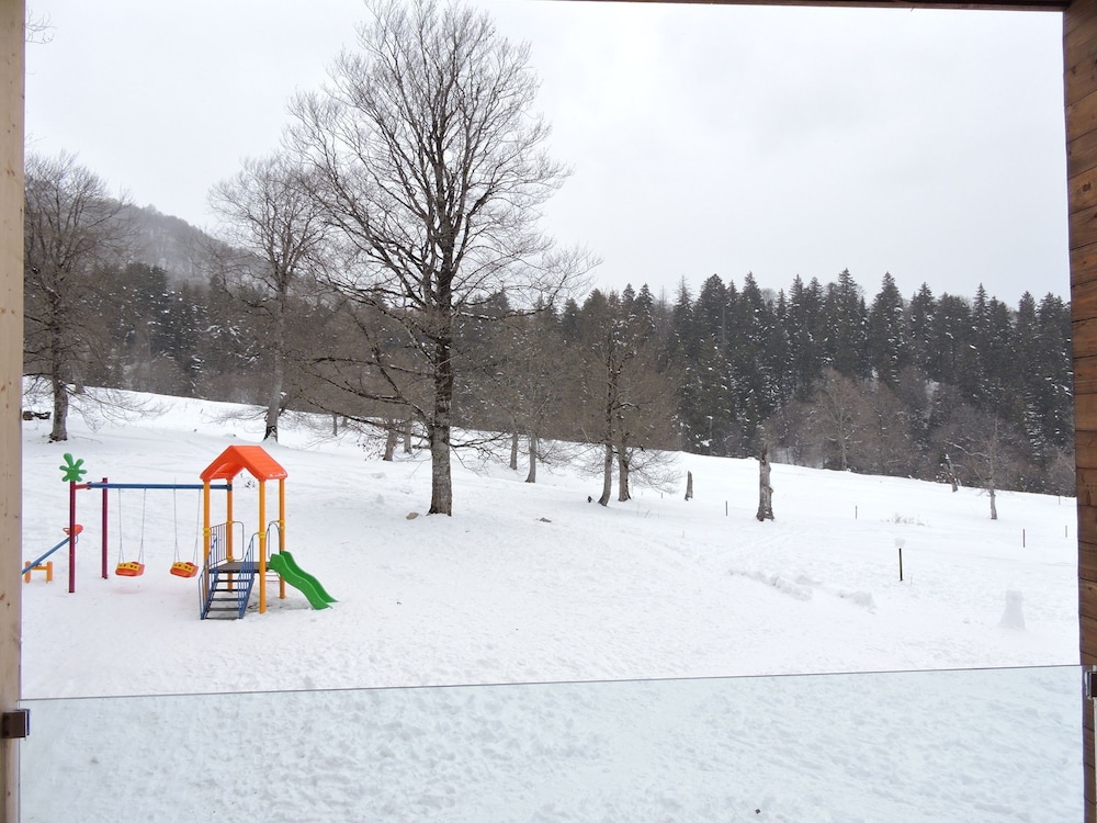 Bakuriani Valley