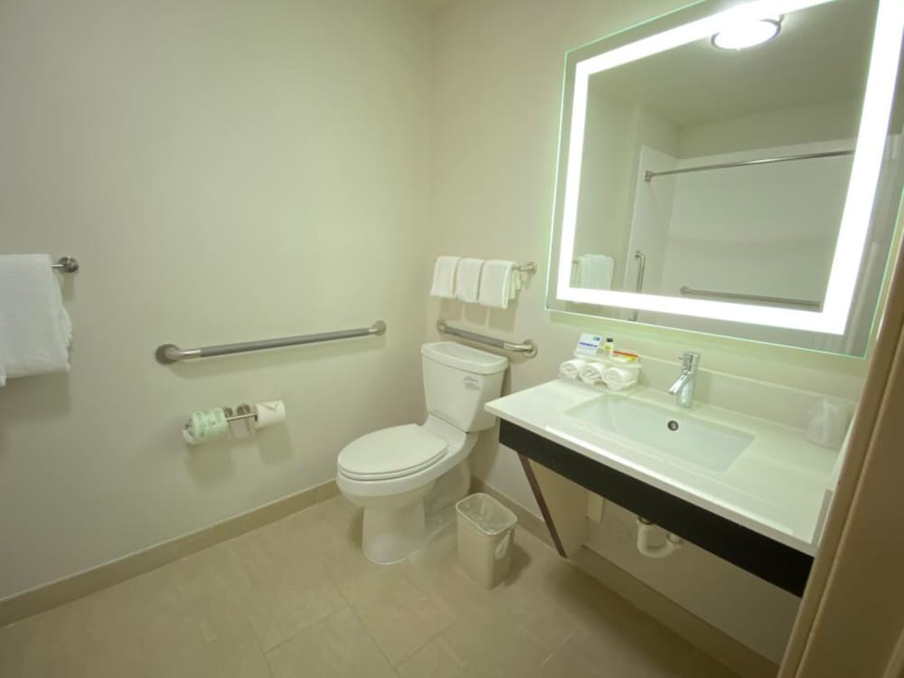 Holiday Inn Express Hotel & Suites Gadsden W Near Attalla by IHG - photo 2