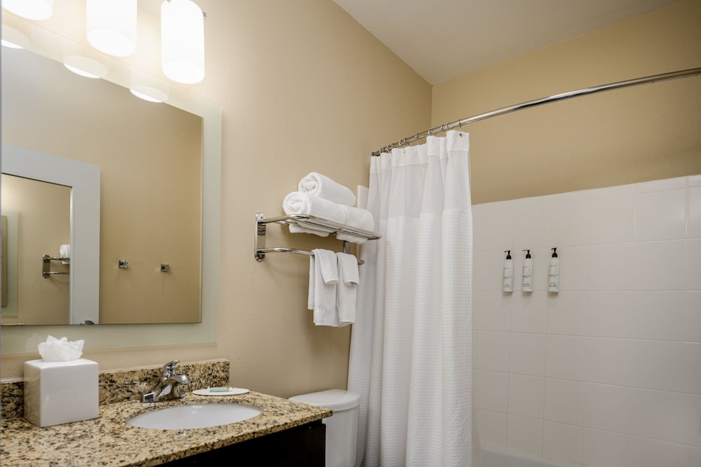 TownePlace Suites Houston Galleria Area - photo 24