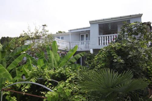Hitas house