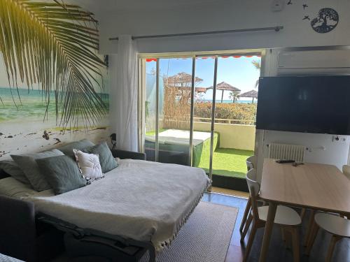 Studio Front de Mer a 10metres de la Plage in Villeneuve-Loubet, France