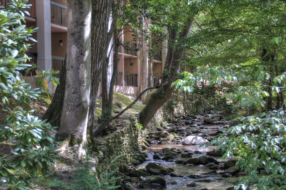 Hampton Inn Gatlinburg - photo 51