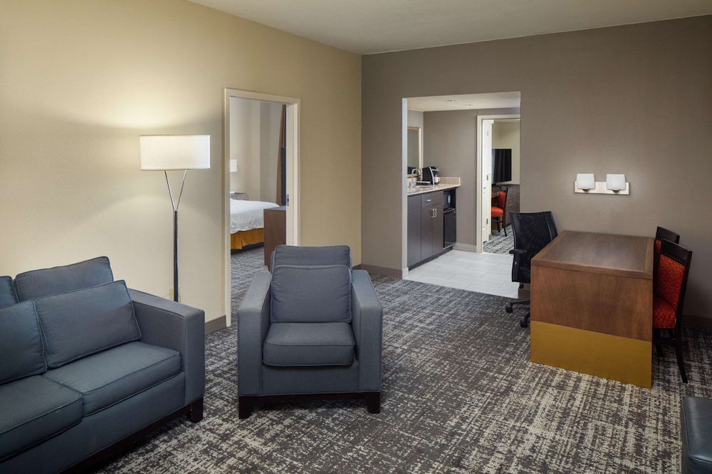 Embassy Suites by Hilton Laredo - photo 21