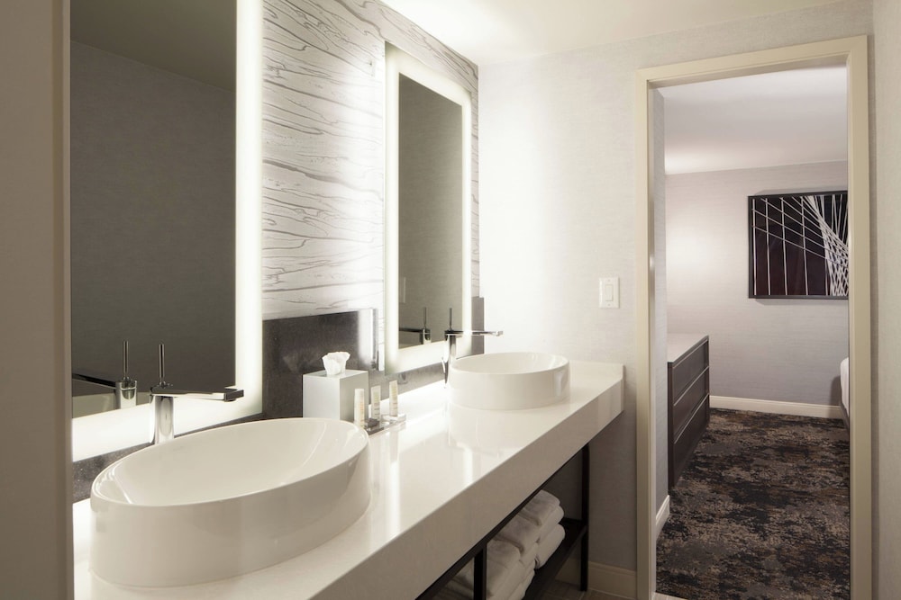 Dallas Fort Worth Airport Marriott - photo 36