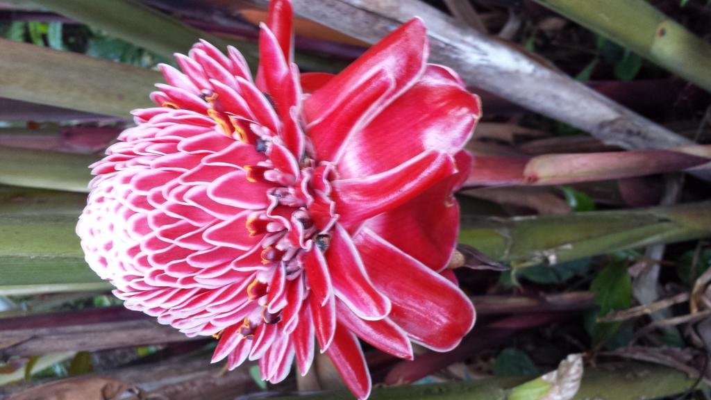 Hotel Prashanti in Catemaco, Mexico