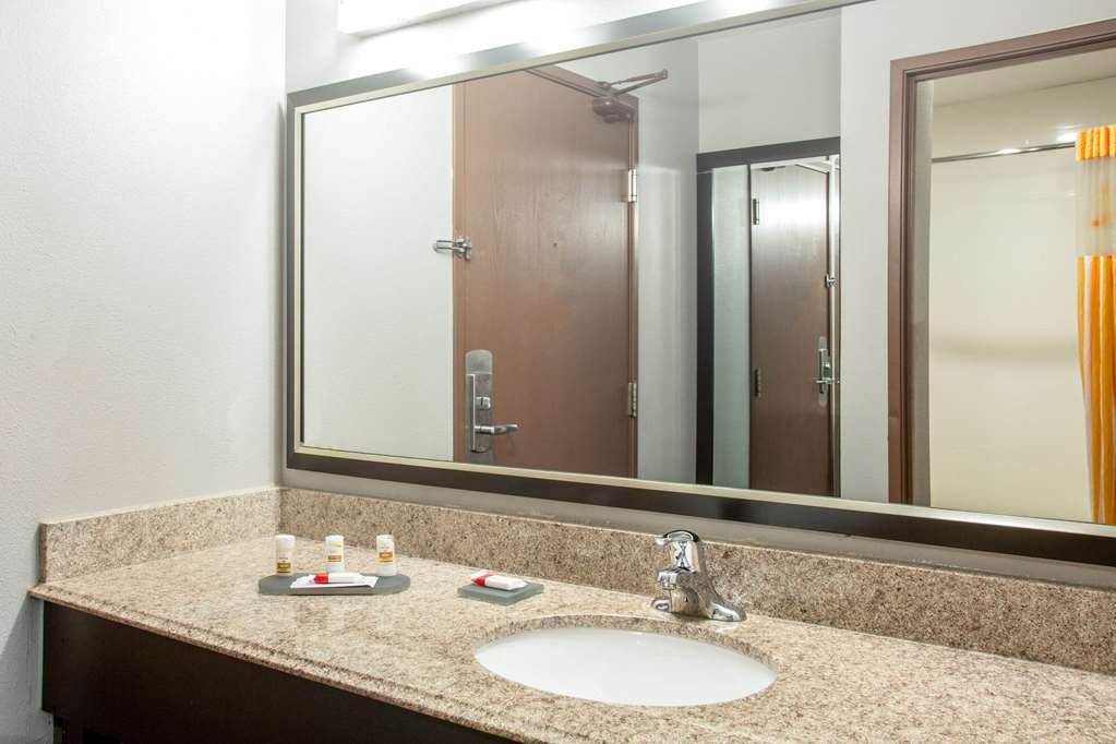 La Quinta Inn by Wyndham St. Louis Hazelwood Airport North - photo 30