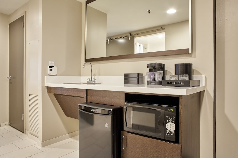 Embassy Suites by Hilton Atlanta Galleria - photo 24