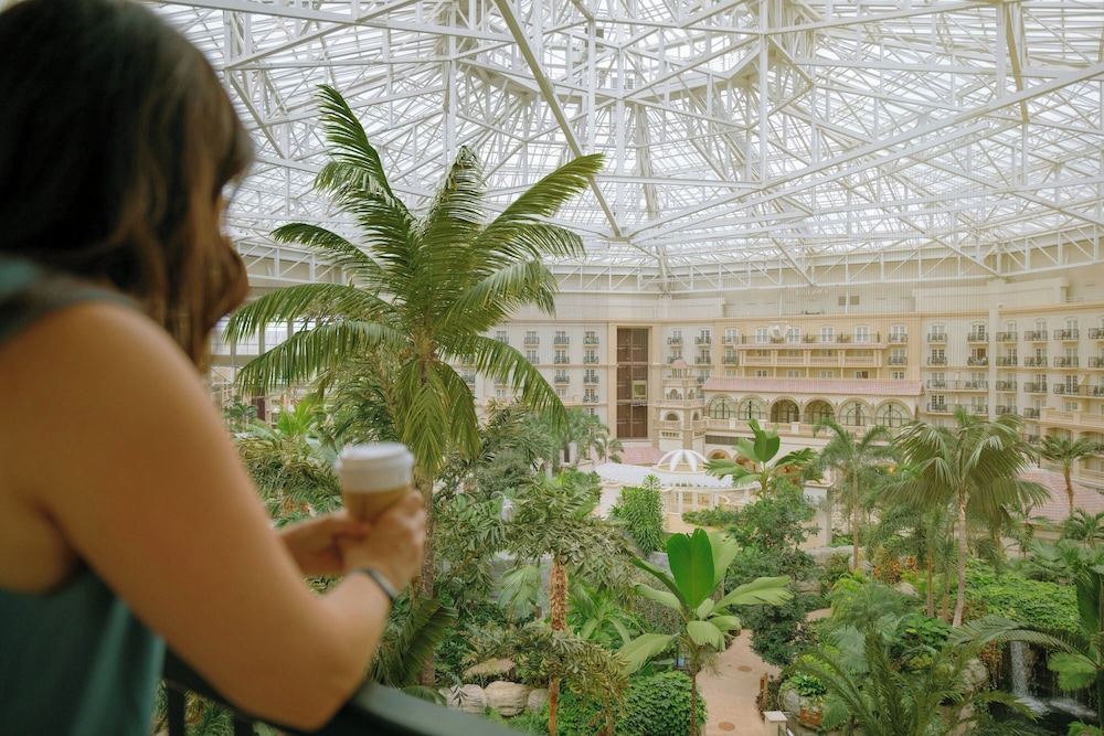 Gaylord Palms Resort & Convention Center - photo 26
