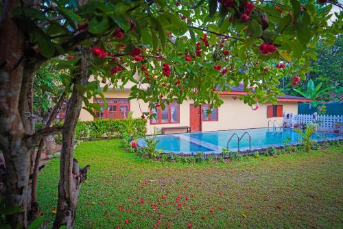 Weligama Bungalow — 4-Star Luxury Hotel in Weligama, Sri Lanka