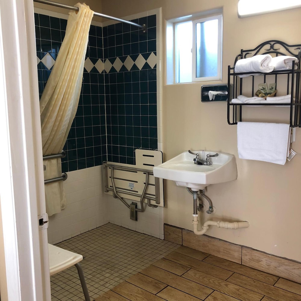 Holland Inn & Suites - photo 37