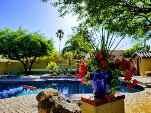 Private Quite Casita N. Scottsdale area Private Pool & Patio Cave Creek Az. — 4-Star Luxury Hotel in Cave Creek, United States