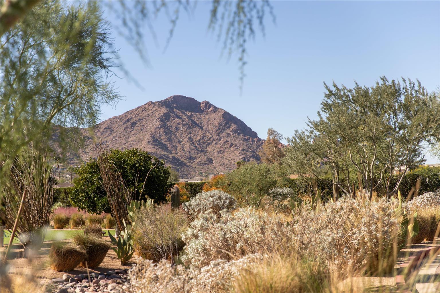 Andaz Scottsdale Resort & Bungalows - photo 112
