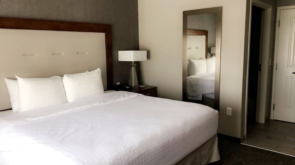 Homewood Suites by Hilton Syracuse Carrier Circle - photo 6