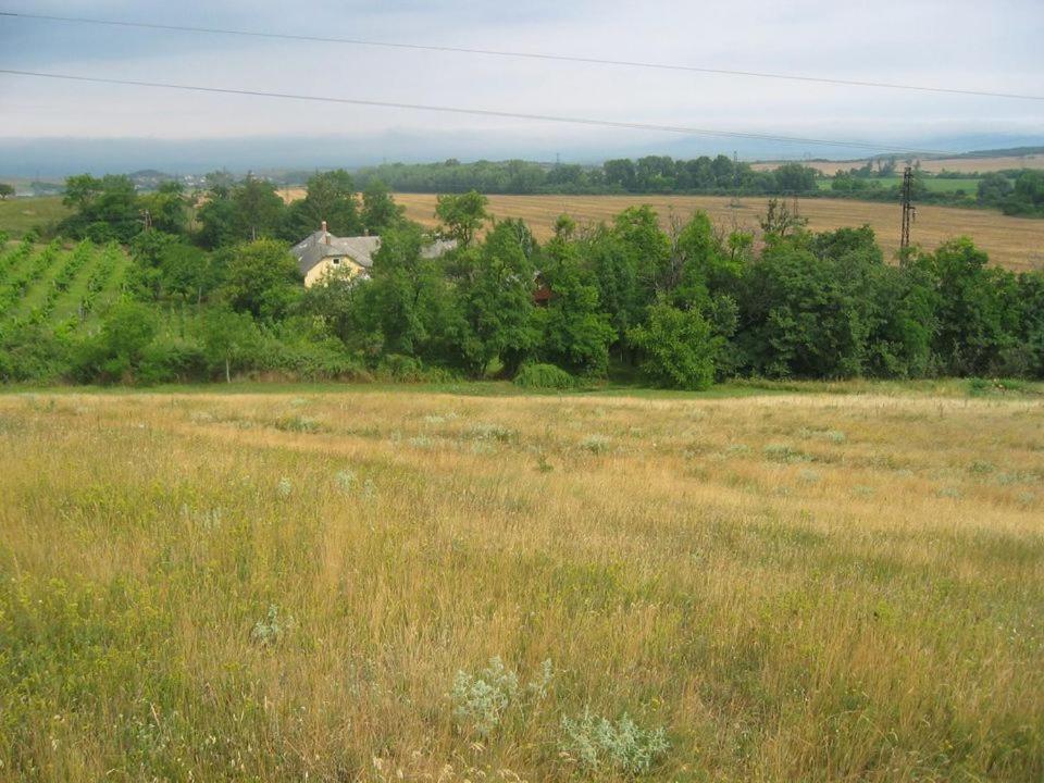 Vincellér Vendégház - last minute hotel in Unknown City
