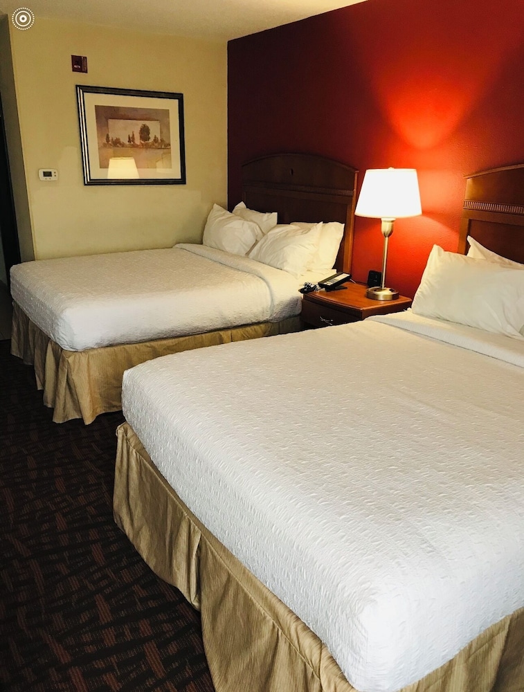Spark by Hilton Dayton Fairborn - photo 5