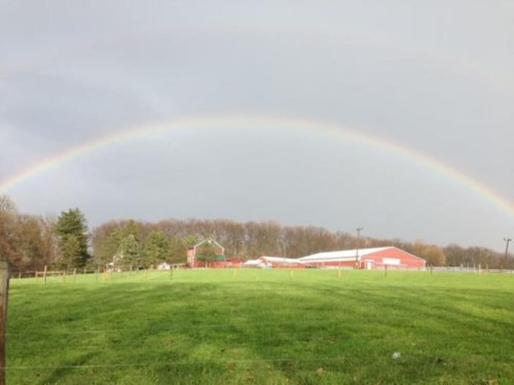 Flint Hill Farm AG - photo 57