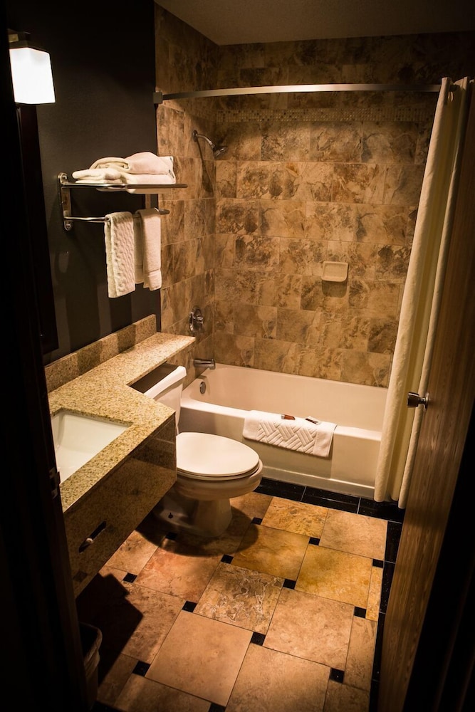 Regency Inn and Suites Anoka - photo 16