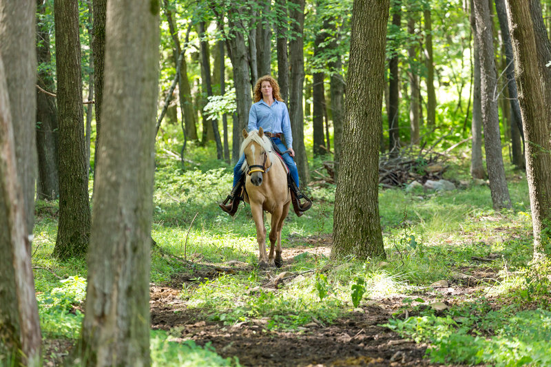 Pocono Manor Resort and Spa - photo 11