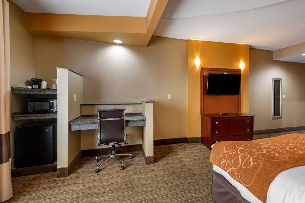 Comfort Suites Perrysburg Toledo South - photo 23