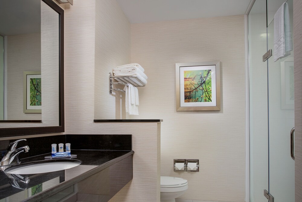 Fairfield Inn & Suites by Marriott Buffalo Amherst University - photo 6