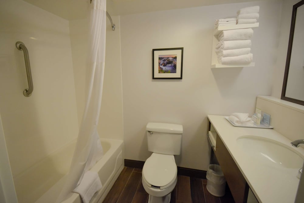 Hampton Inn Salem East Electric Road - photo 24