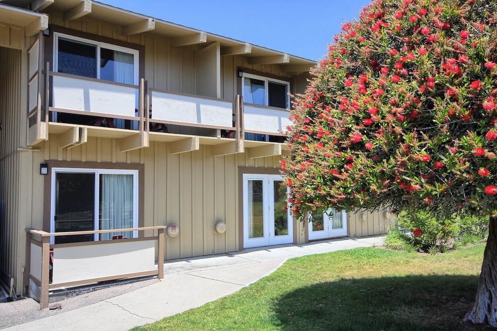 Silver Surf Motel - photo 96