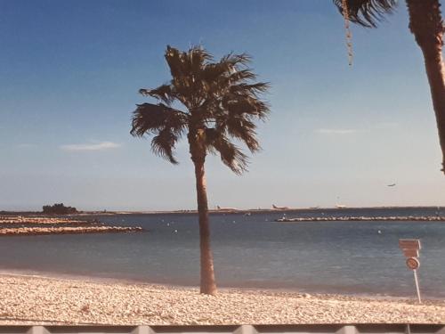 Studio bord de mer — hotel in Saint-Laurent-Du-Var